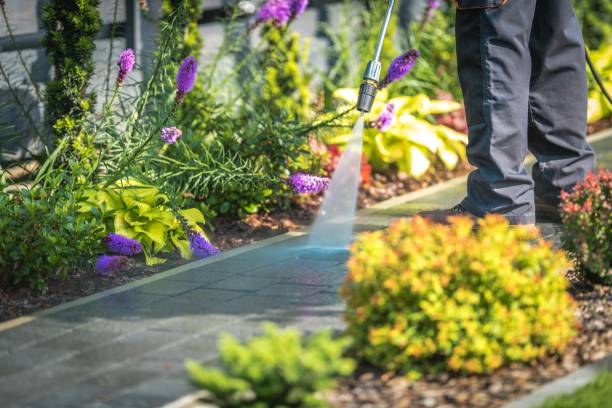 Best Spring Cleaning  in Dumont, NJ