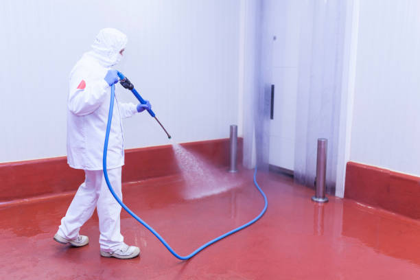 Best Solar Panel Cleaning  in Dumont, NJ